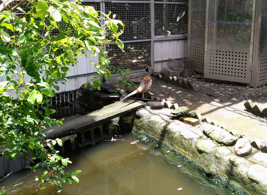 高雄壽山動物園