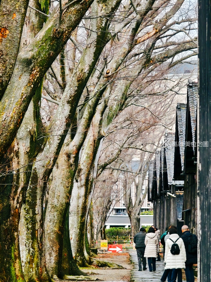 日和旅行社 日本山形