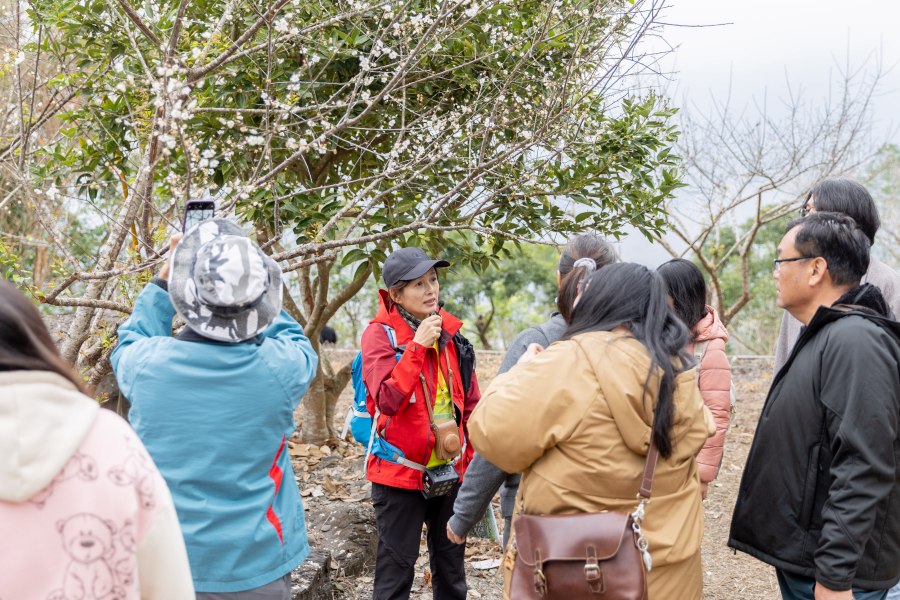(高雄生活)六龜「山城水樂園」