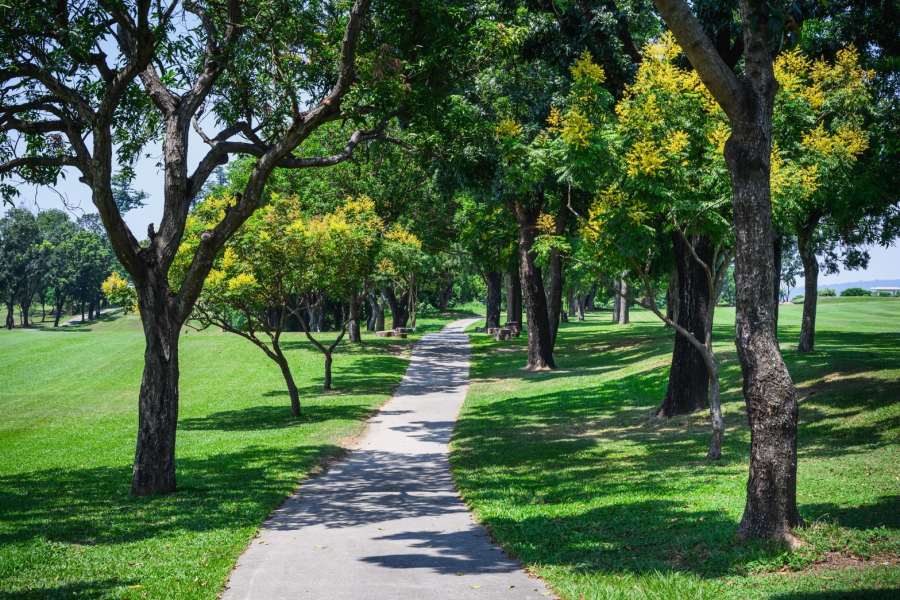 (高雄生活)高雄果嶺自然公園