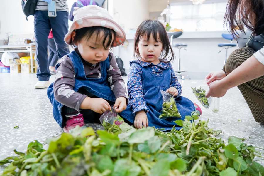 (高雄生活)2025海線潮旅行