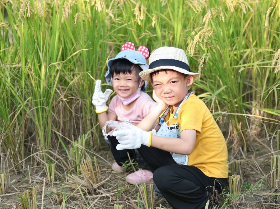 (高雄生活)2025海線潮旅行
