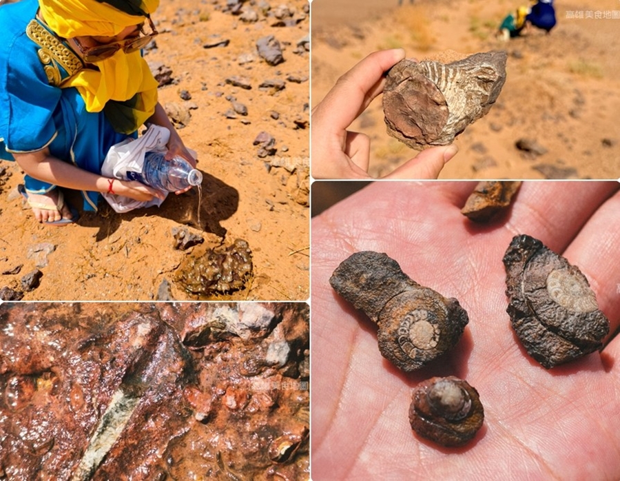 【日和旅行社】2025摩洛哥北非之旅14日