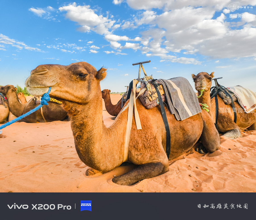 2026北非摩洛哥14日之旅 保證入住沙哈拉沙漠奢華帳篷 小團深度旅行 2026北非摩洛哥14日之旅 保證入住沙哈拉沙漠奢華帳篷 小團深度旅行