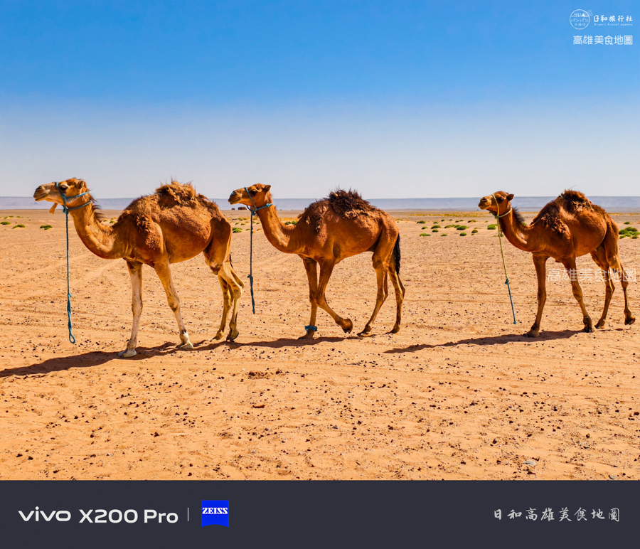 2026北非摩洛哥14日之旅 保證入住沙哈拉沙漠奢華帳篷 小團深度旅行 2026北非摩洛哥14日之旅 保證入住沙哈拉沙漠奢華帳篷 小團深度旅行