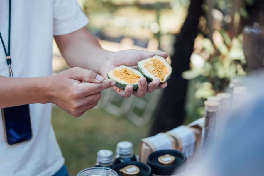 (高雄生活) 「野趣東高雄 杉林音樂×市集」