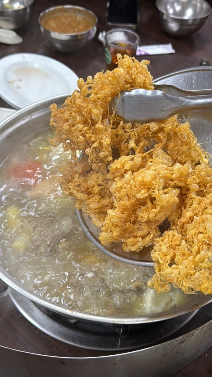 屏東美食｜新園汕頭火鍋