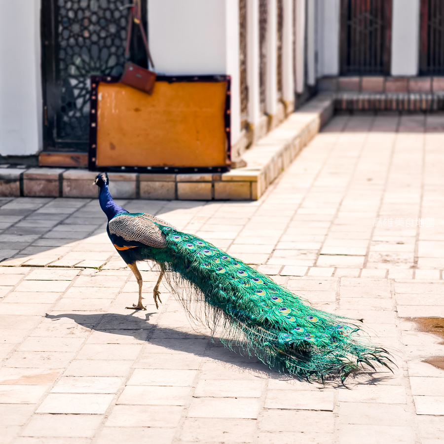 烏茲別克跟團-布哈拉必去景點