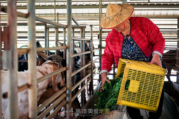 滿福羊肉爐|高雄羊肉料理、羊肉爐推薦 高雄羊肉爐推薦